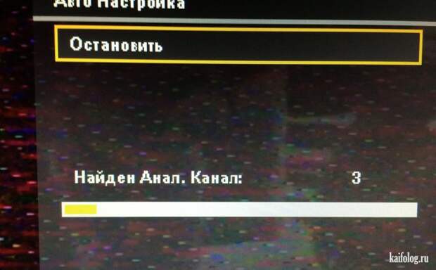 Приколы на телевидении (40 фото)