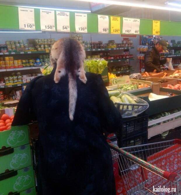 Фото приколы по-русски. Подборка - 279 (80 фото)