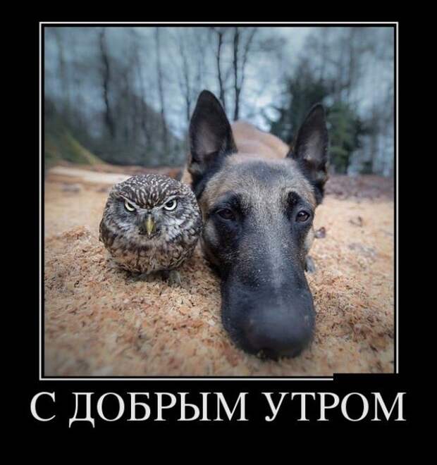 Демотиваторы (30 фото)