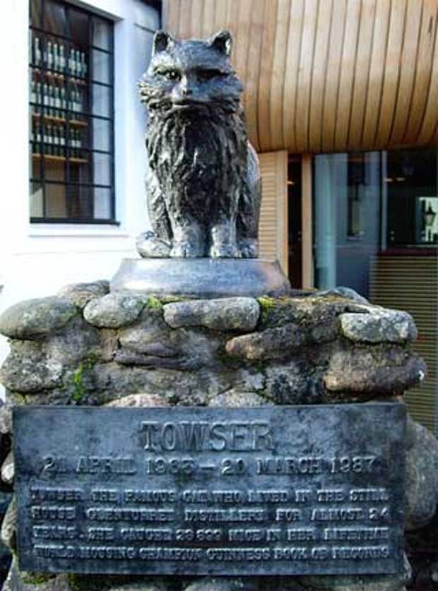 Памятник коту мышелову по имени Towser
