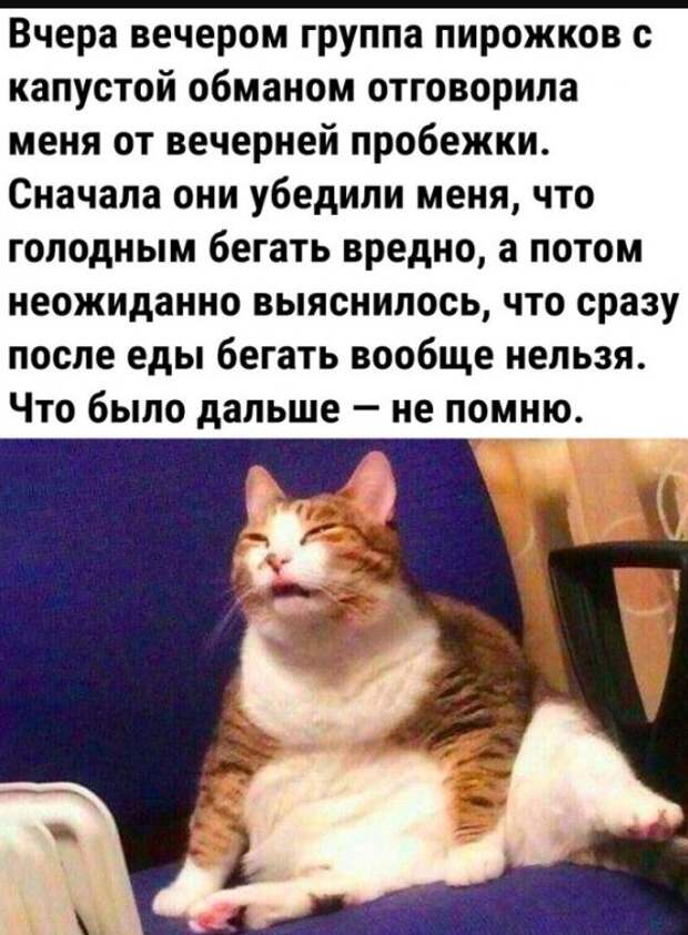 Приколы картинки с надписями смешные до слез