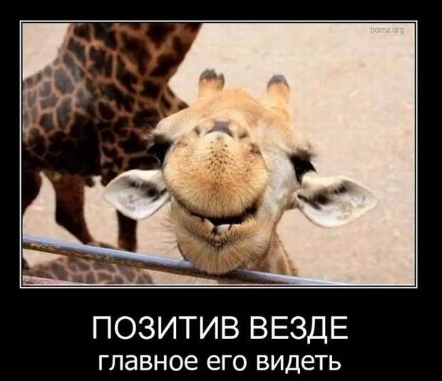 Демотиваторы (45 фото) Демотиваторы (45 фото)