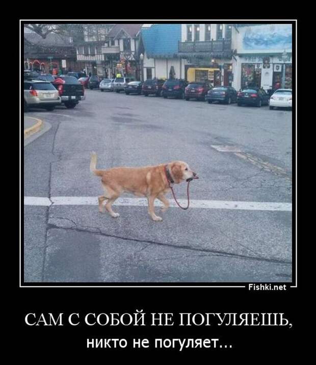 Демотиваторы демотиваторы, прикол, смех, юмор
