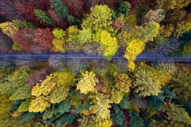 Красочные фотографии о том, насколько волшебна осень в Польше