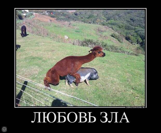 Тренируй мозги! 21
