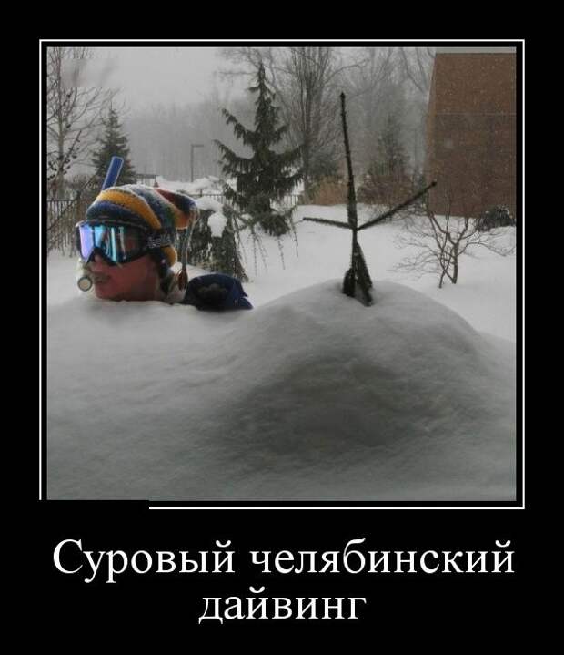 Демотиваторы (30 фото)