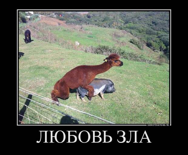 Подборка демотиваторов демотиваторы, юмор