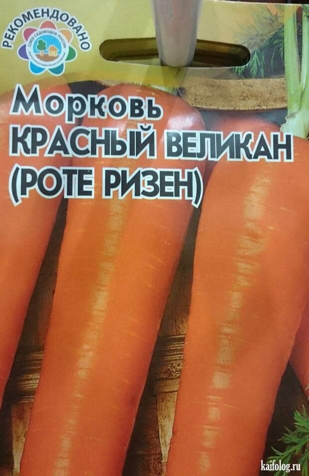 Прикольные семена (35 фото)