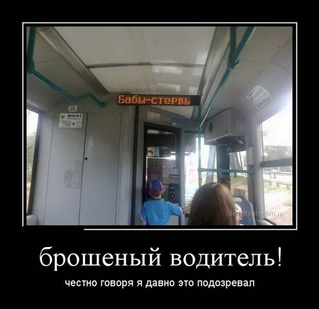 Демотиваторы бревно, демотиваторы, юмор