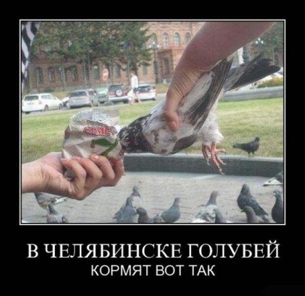 Демотиваторы свежие.