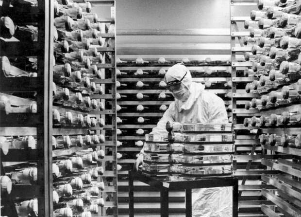 Подборка редких фотографий со всего мира. Часть 8 (74 фото) Подборка редких фотографий со всего мира. Часть 8 (74 фото)
