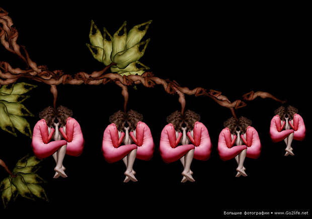 Human Bodies Art