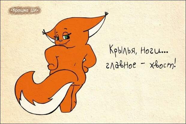 Девичья правда от белки Ши Девичья правда от белки Ши белка, рисунки
