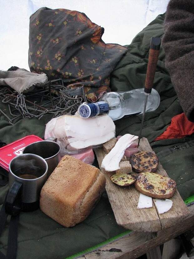 Отпуск в лесу