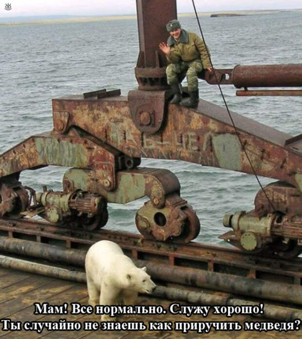 Фотографические прикольности 7