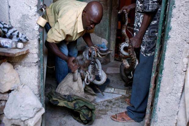 Snakehandler08