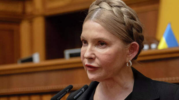 Царев: дело Тимошенко может привести к катастрофе для Зеленского