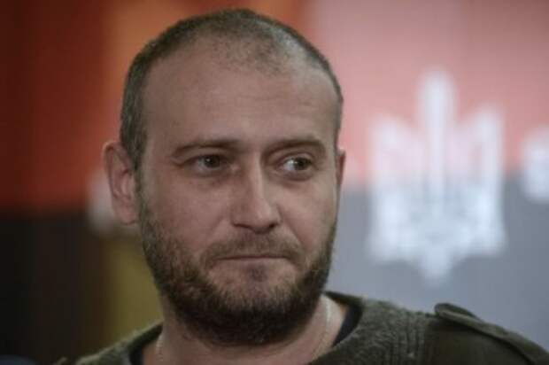 Сеанс разоблачений: Дмитрий Ярош чистил не ружье, а карманы диаспоры