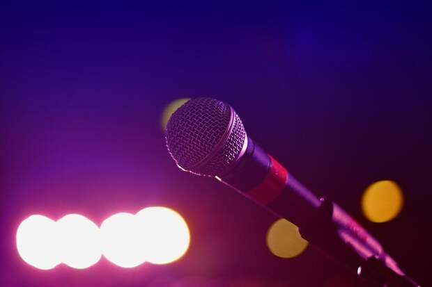 Микрофон.Фото:pixabay.com