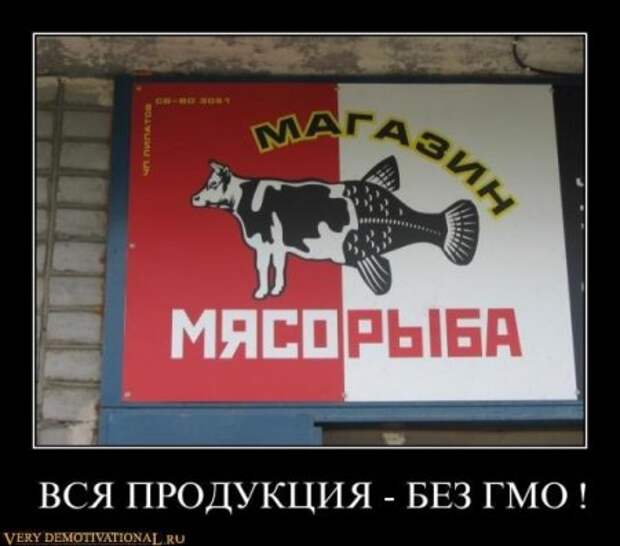 Демотиваторы смешные, с приколами к понедельнику то что надо!!!