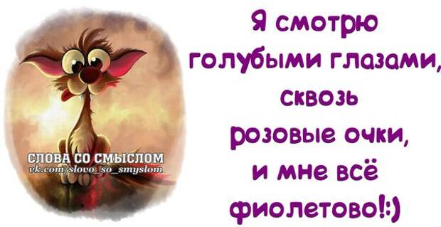 Веселые фразочки для хорошего настроения Веселые фразочки для хорошего настроения