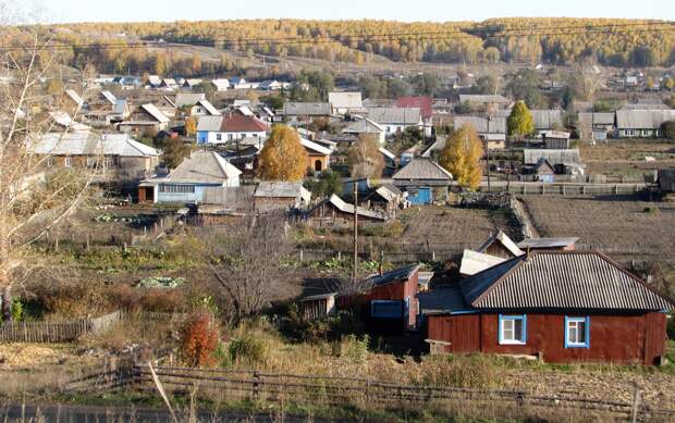 Село косиха фото