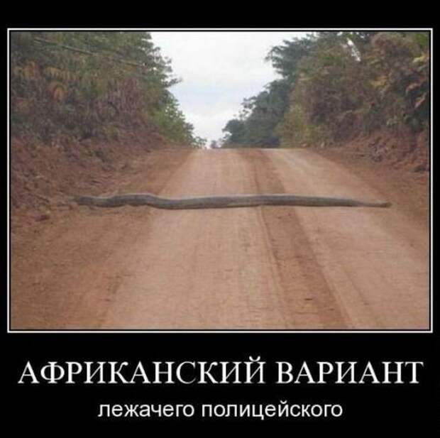Демотиваторы бревно, демотиваторы, юмор