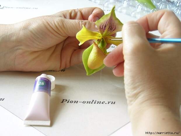 Орхидея Леди Слиппер из полимерной глины. Мастер-класс (66) (640x479, 160Kb)