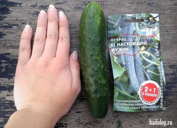 Прикольные семена (35 фото)