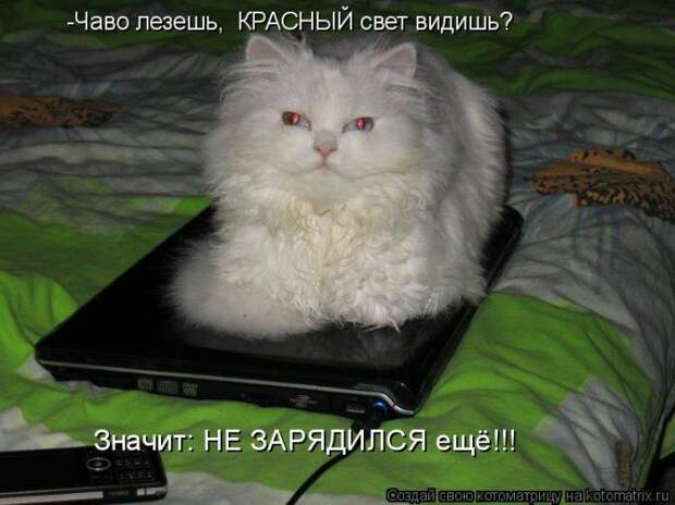 Мысли вслух :)