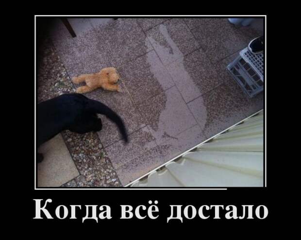 Подборка демотиваторов демотиваторы, юмор