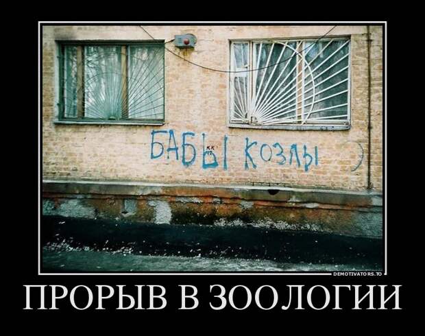 Демотиваторы  демотиваторы, прикол, смех, юмор