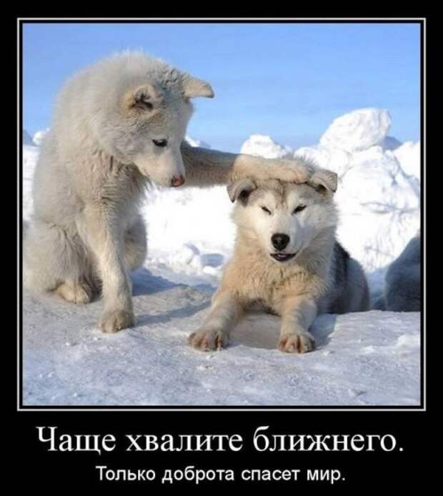 Прикольные картинки (67 шт)