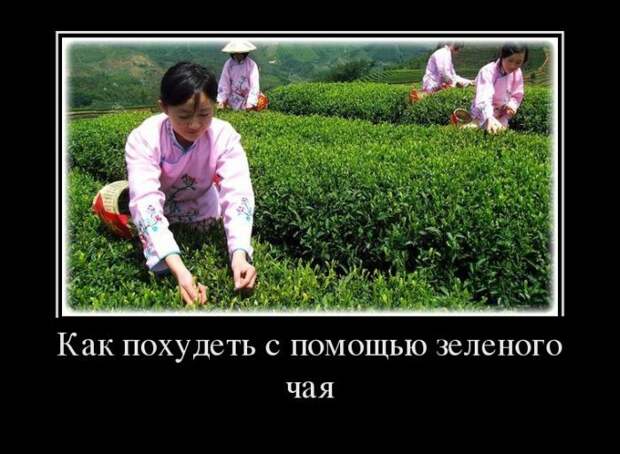 Демотиваторы демотиваторы, юмор