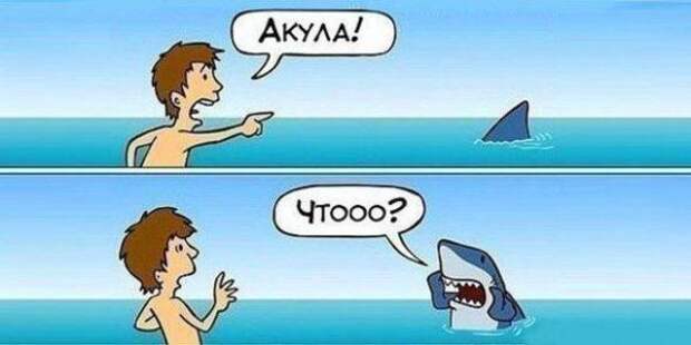 Смешная галерея фотоприколов  #76
