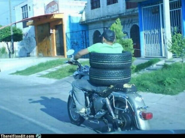 скаты
