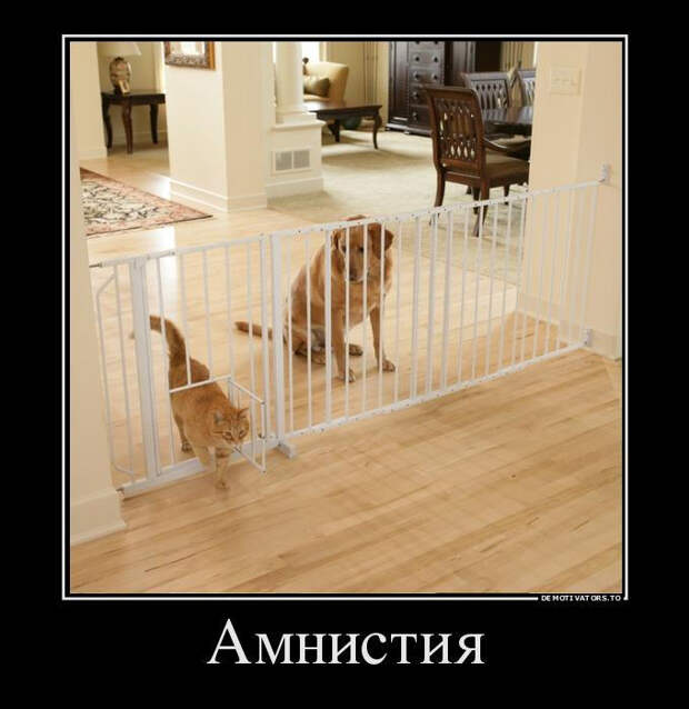Демотиваторы, часть 281 (25 фото) Демотиваторы, часть 281 (25 фото)