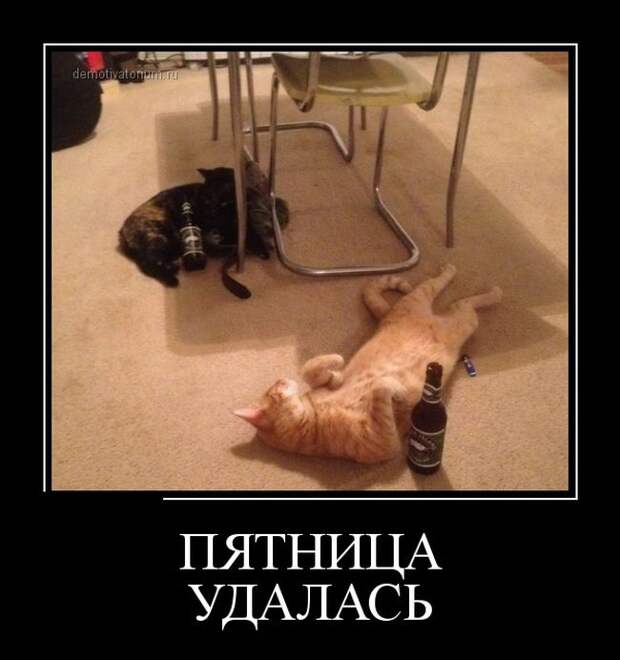 Демотиваторы демотиваторы, юмор