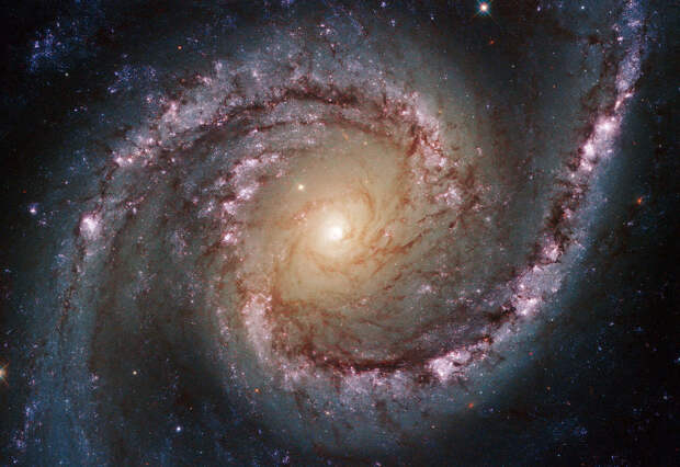 Спиральная галактика NGC 1566 Спиральная галактика NGC 1566