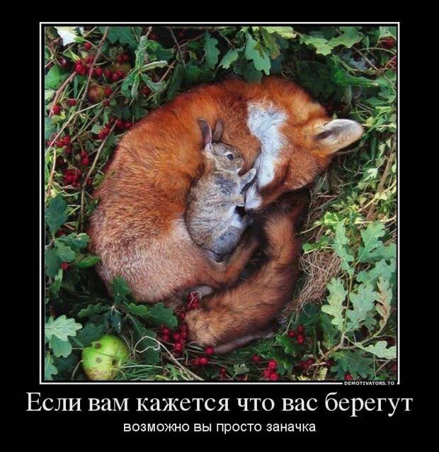 Поиски себя, российские приметы и вкус победы - новые демотиваторы