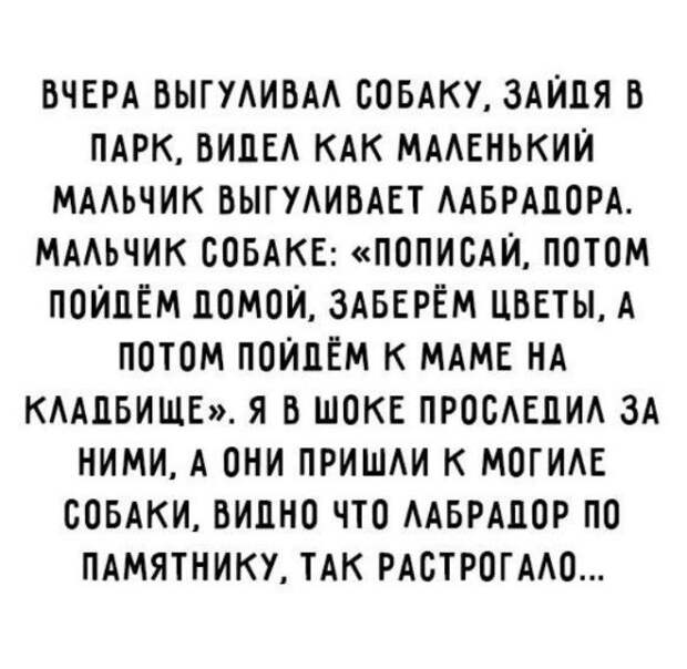Изумительно смешные и познавательные истории из жизни людей
