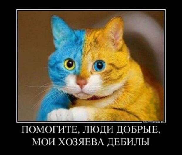 Иностранные военные приедут на Украину с разрешения Рады. Иностранные военные приедут на Украину с разрешения Рады.