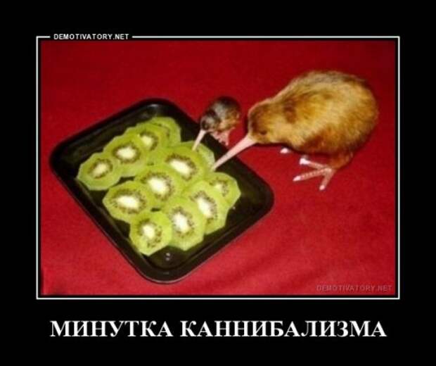Прикольные демотиваторы на любой вкус (17 шт)