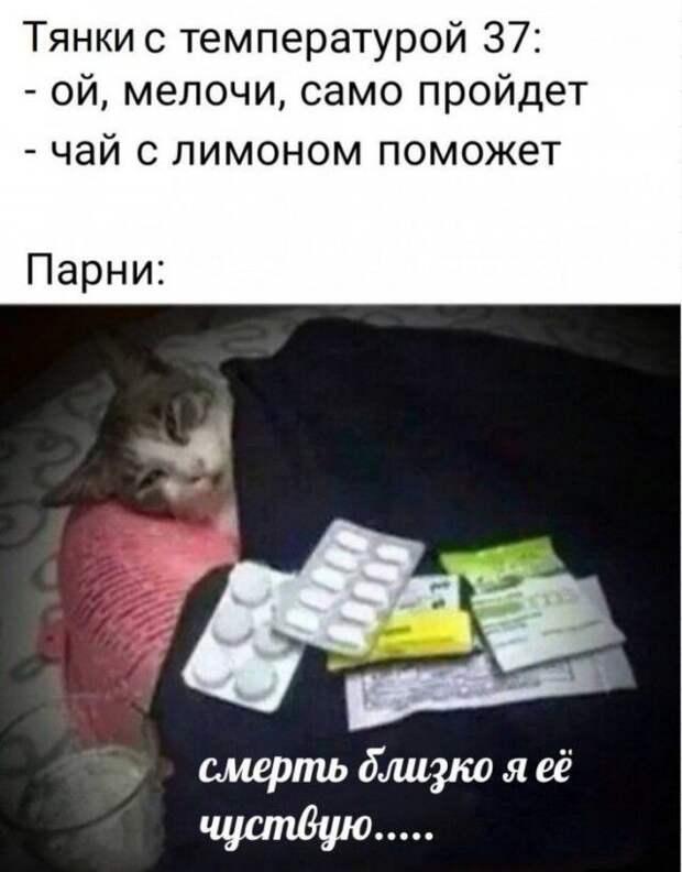 kartinok-prikolnyh-podborka-kartinki-smeshnye-kartinki-fotoprikoly