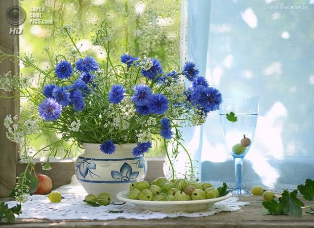 supercoolpics_04_08032014100554
