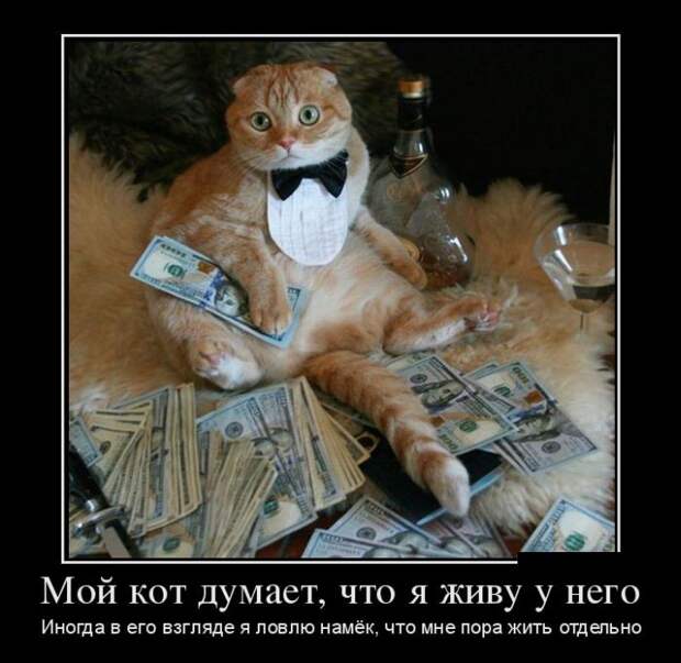 Подборка демотиваторов демотиваторы, юмор
