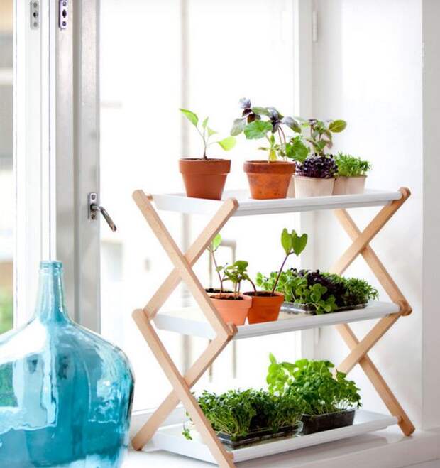 10 симпатичных идей для тех, кто мечтает о мини-огороде у себя на кухне