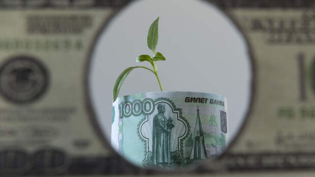 Каждая третья компания в России начала сокращать сотрудников из-за COVID-19 - опрос