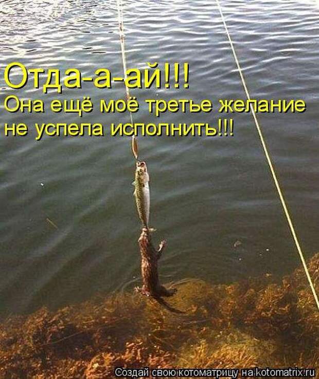 Мысли вслух :)
