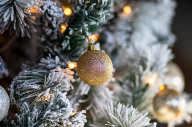 ВЦИОМ: россияне планируют потратить на Новый год в среднем около ₽60 тысяч